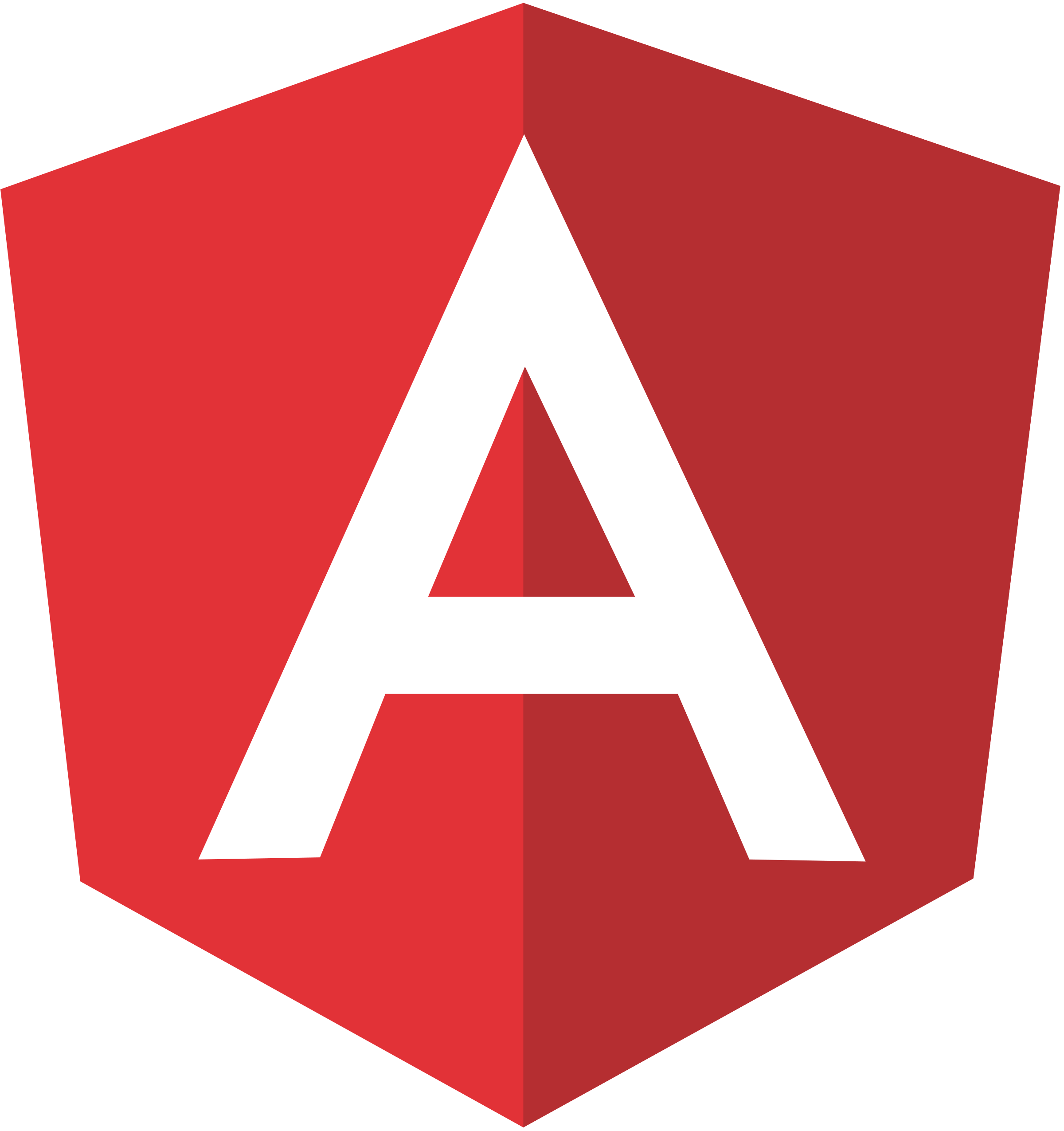 Angular image for skills